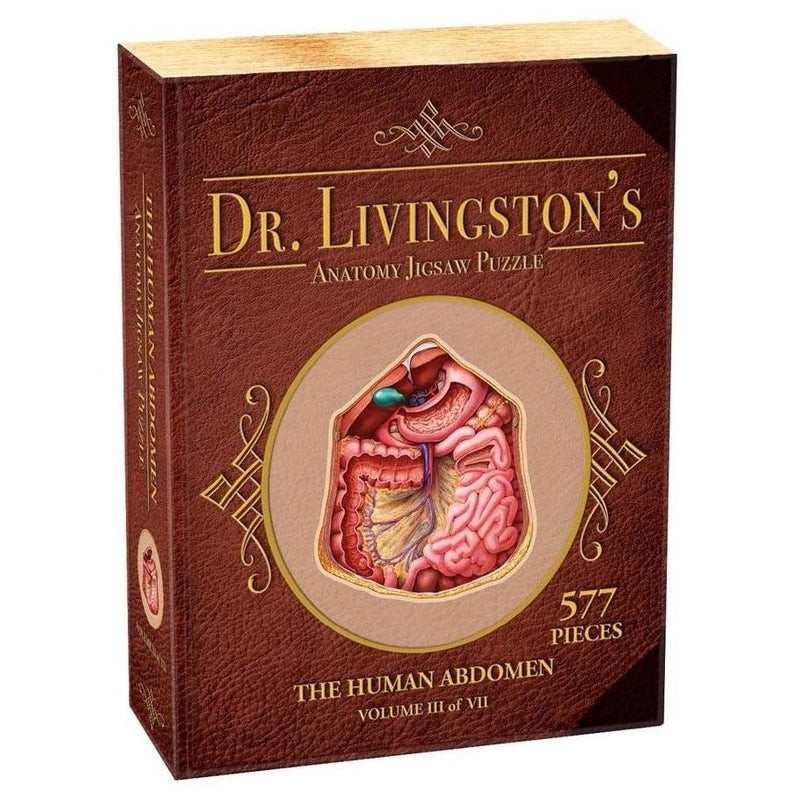 Dr Livingston Anatomy Jigsaw Puzzle - Human Abdomen