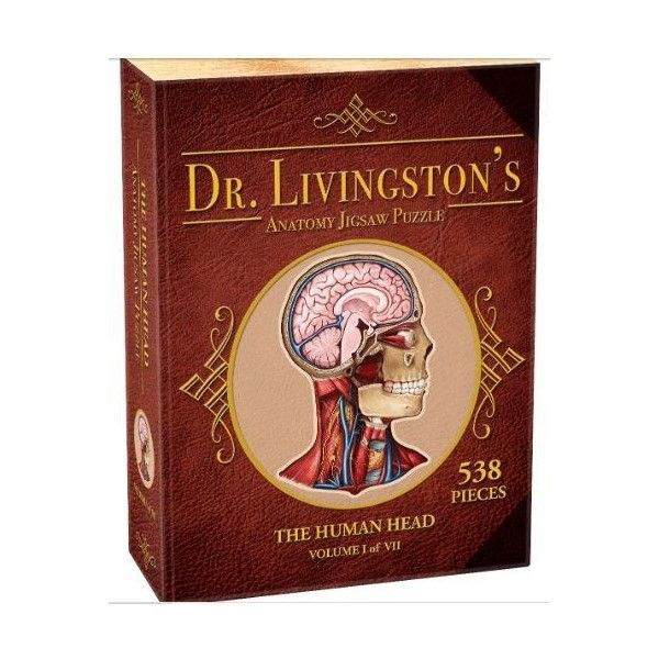 Dr Livingston Anatomy Jigsaw Puzzle - Human Head
