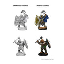 D&D Nolzur's Marvelous Miniatures - Dragonborn Male