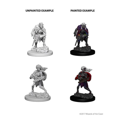 D&D Nolzur's Marvelous Miniatures - Drow