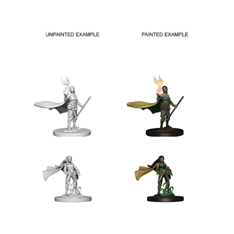 D&D Nolzur's Marvelous Miniatures - Elf Female Druid