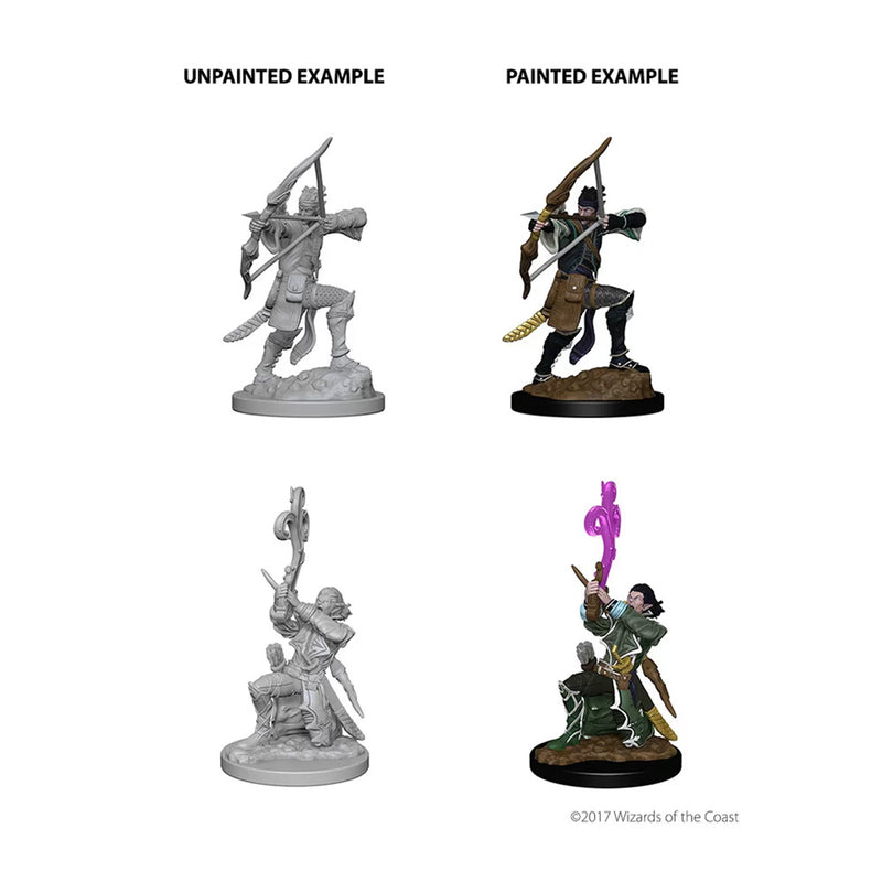 D&D Nolzur's Marvelous Miniatures - Elf Male Bard