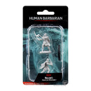 D&D Nolzur's Marvelous Miniatures - Human female Barbarian