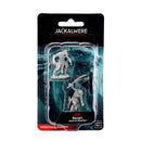 D&D Nolzur’s Marvelous Miniatures: Jackalwere