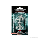 D&D Nolzur’s Marvelous Miniatures: Lizardfolk Barbarian & Lizardfolk Cleric
