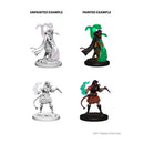 D&D Nolzur's Marvelous Miniatures - Tiefling Female