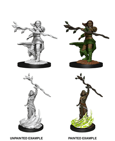 D&D Nolzur's Marvelous Miniatures: Human Druid Female (wave 14)