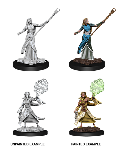 D&D Nolzur's Marvelous Miniatures: Elf Sorcerer Female