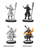 D&D Nolzur's Marvelous Miniatures: Half-Elf Wizard