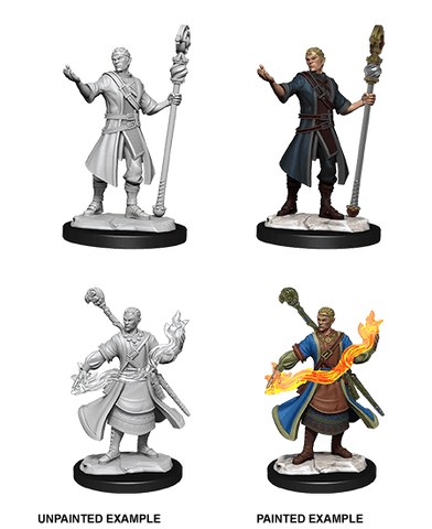D&D Nolzur's Marvelous Miniatures: Half-Elf Wizard