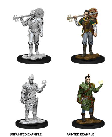 D&D Nolzur's Marvelous Miniatures: Half-Elf Bard Male