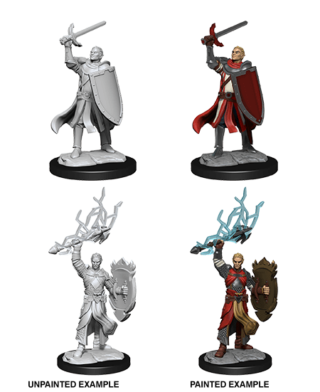 D&D Nolzur's Marvelous Miniatures: Half-Elf Paladin