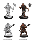 D&D Nolzur's Marvelous Miniatures: Human Barbarian