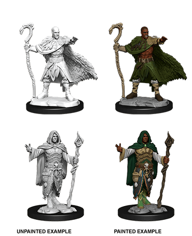 D&D Nolzur's Marvelous Miniatures: Human Druid