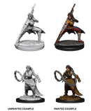 D&D Nolzur's Marvelous Miniatures: Human Monk