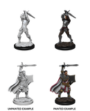 D&D Nolzur's Marvelous Miniatures: Human Paladin Male (wave 12)