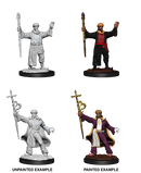D&D Nolzur's Marvelous Miniatures: Human Wizard Male
