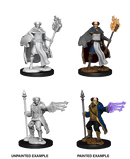 D&D Nolzur's Marvelous Miniatures: Multiclass Cleric + Wizard Male