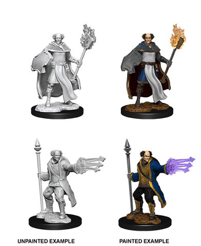 D&D Nolzur's Marvelous Miniatures: Multiclass Cleric + Wizard Male