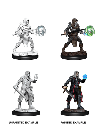 D&D Nolzur's Marvelous Miniatures: Multiclass Fighter + Wizard Male