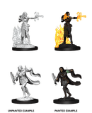 D&D Nolzur's Marvelous Miniatures: Multiclass Warlock + Sorcerer Female