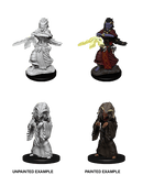 D&D Nolzur's Marvelous Miniatures: Night Hag & Dusk Hag