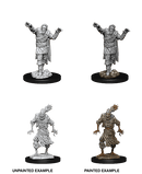 D&D Nolzur's Marvelous Miniatures: Scarecrow & Stone Cursed