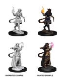 D&D Nolzur's Marvelous Miniatures: Tiefling Sorcerer Female