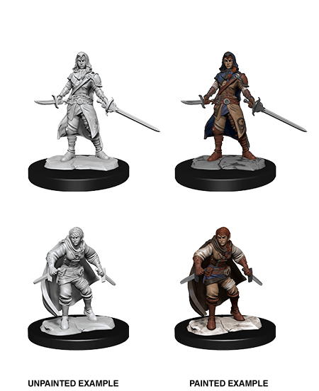 D&D Nolzur's Marvelous Miniatures: Half-Elf Rogue