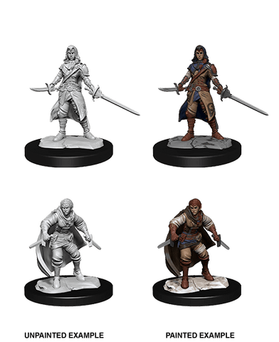 D&D Nolzur's Marvelous Miniatures: Half-Elf Rogue
