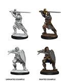 D&D Nolzur's Marvelous Miniatures: Human Paladin Male (wave 14)