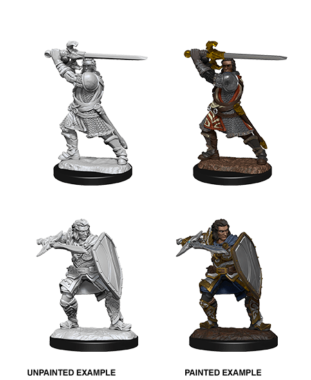 D&D Nolzur's Marvelous Miniatures: Human Paladin Male (wave 14)