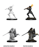 D&D Nolzur's Marvelous Miniatures: Human Paladin