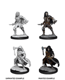D&D Nolzur's Marvelous Miniatures: Warforged Rogue