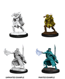 D&D Nolzur's Marvelous Miniatures: Winter Eladrin & Spring Eladrin